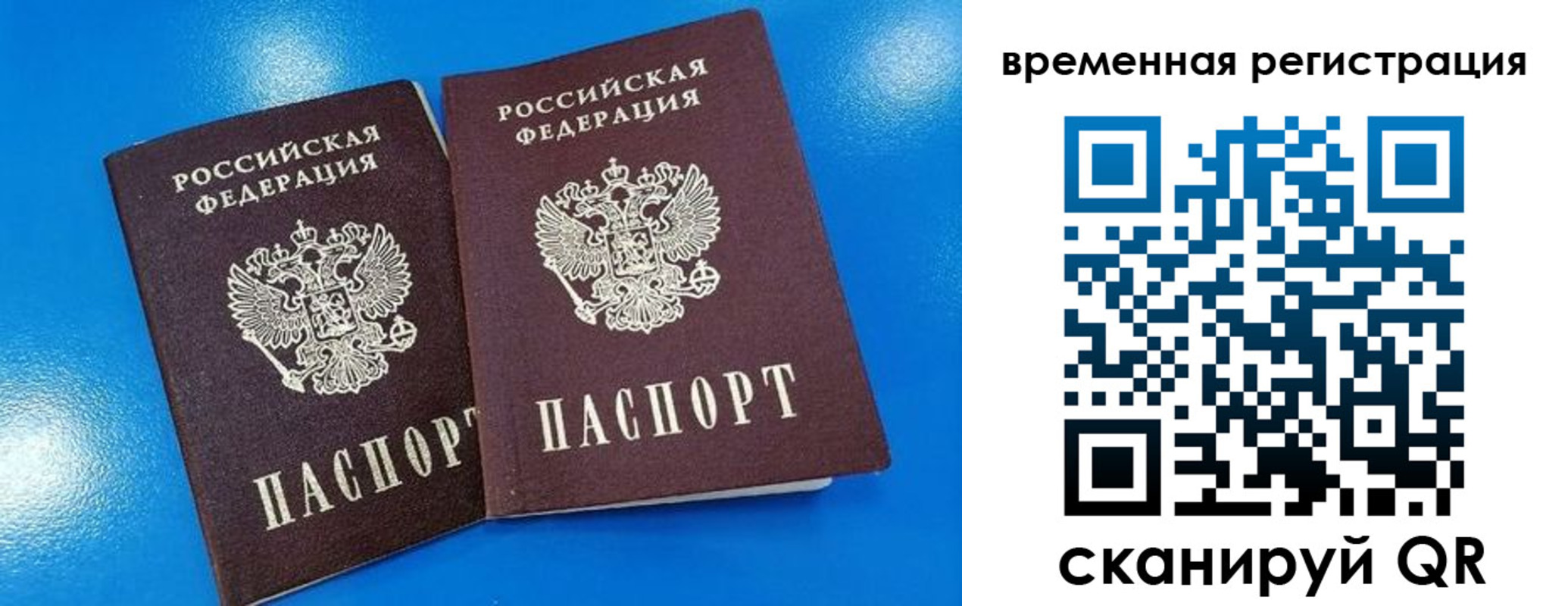 прописка для работы в Нелидово