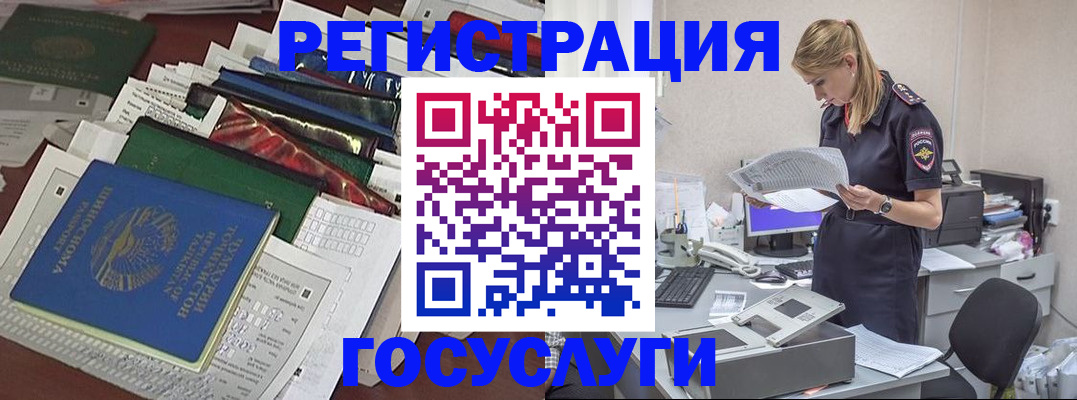 где прописаться в Нелидово